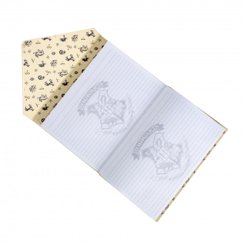 Carnet Harry Potter en forme d'enveloppe pour lettre Poudlard sur Cadeaux  et Anniversaire