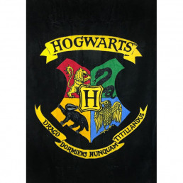 Serviette Harry Potter 150 x 75 cm