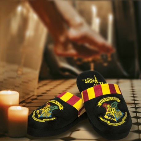 Chaussons originaux Harry Potter à l'effigie de Poudlard sur Cadeaux et  Anniversaire