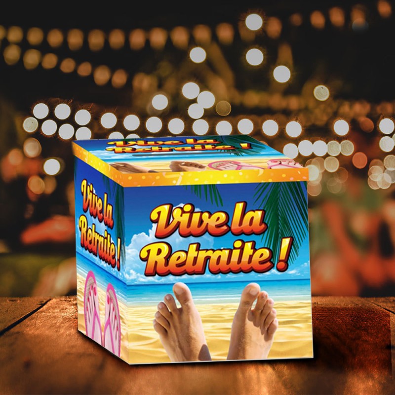 Boite Pour Cagnotte Retraite En Carton Avec Fente Sur Le Dessus Sur Cadeaux Et Anniversaire Boite Pour Cagnotte Retraite En Carton Avec Fente Sur Le Dessus Sur Cadeaux Et Anniversaire