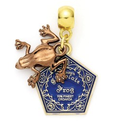 Pendentifs Charm Harry Potter - Chocogrenouille, Retourneur de Temps et Lunettes