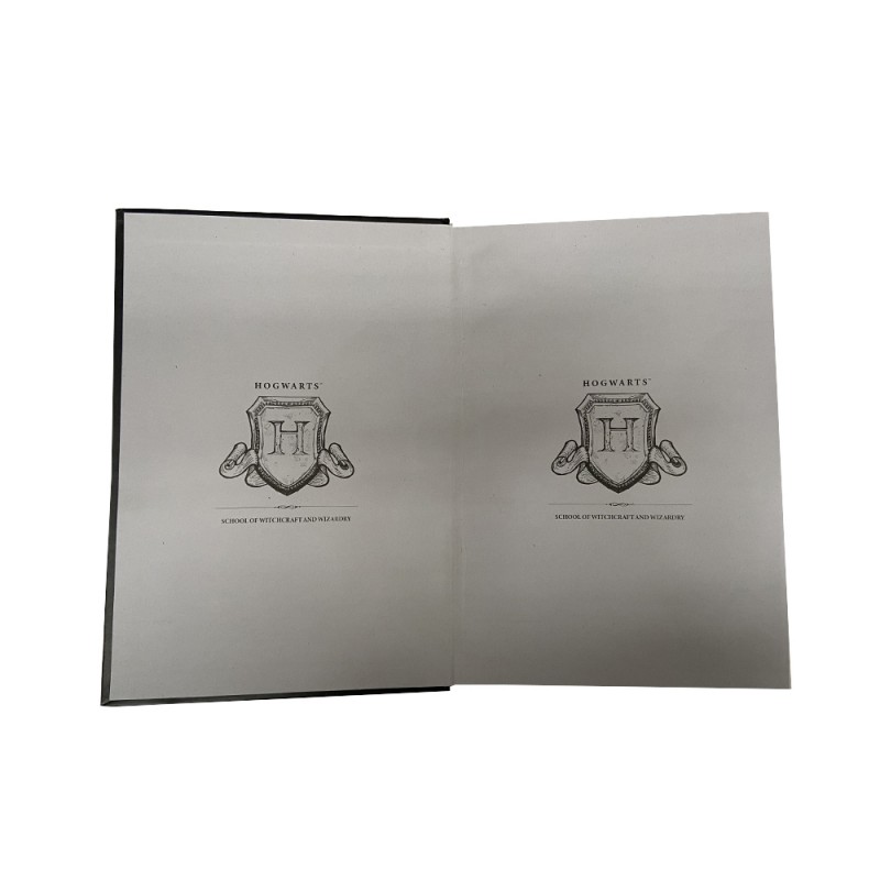 Carnet Harry Potter et stylo baguette magique pour écolier sur