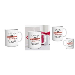 Mug Je m'en fous de la Saint-Valentin Je t'aime tous les Jours