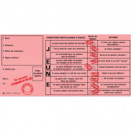 Permis Anniversaire Humoristique